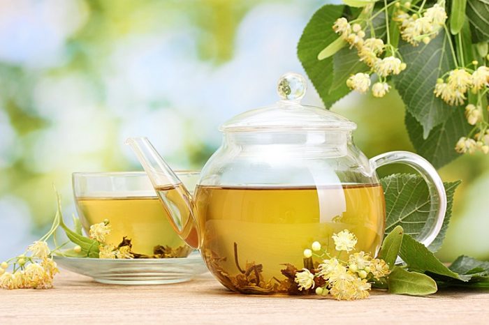 Смачний та корисний чай: як правильно зібрати та засушити липу