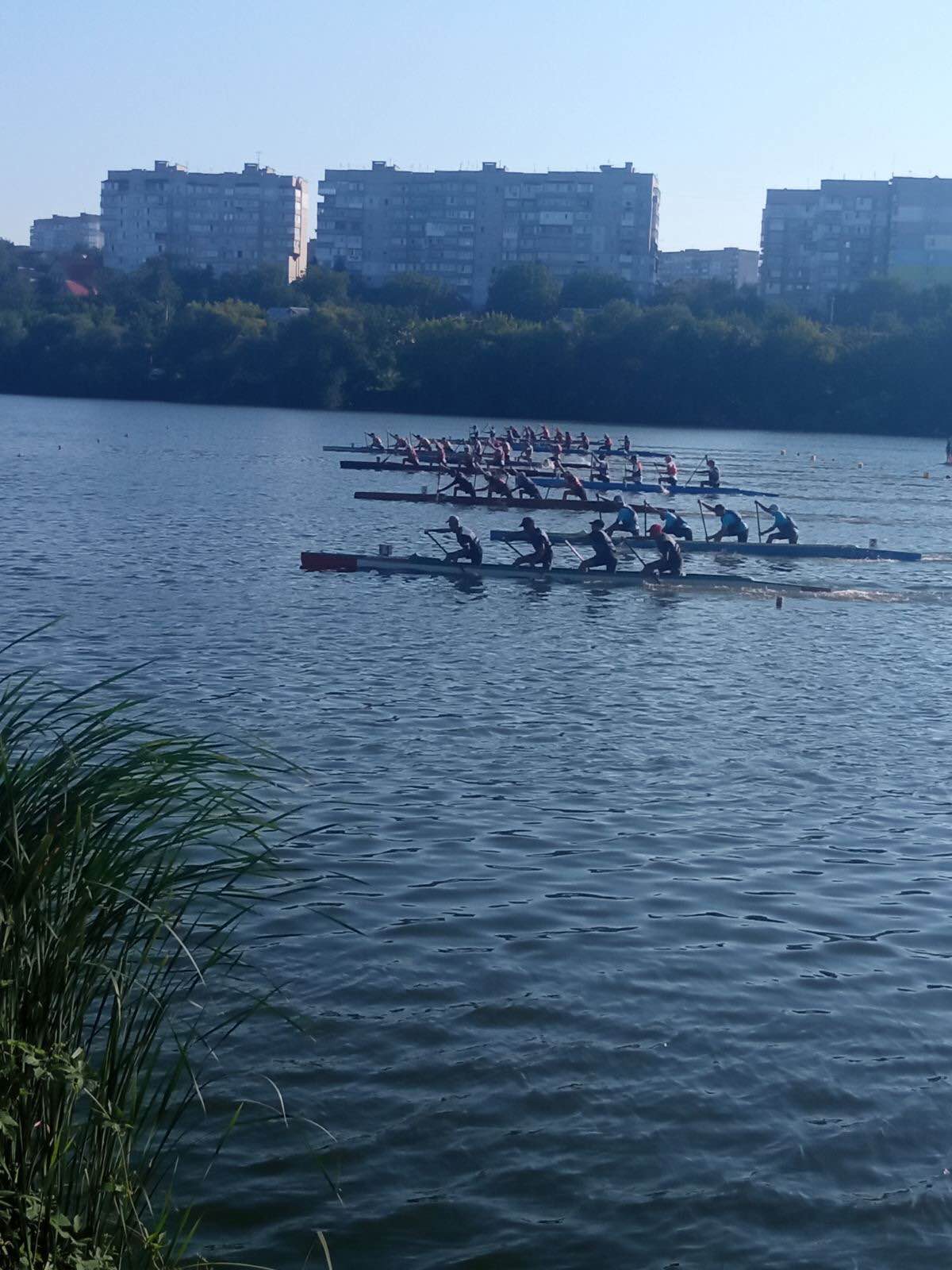 веслярі