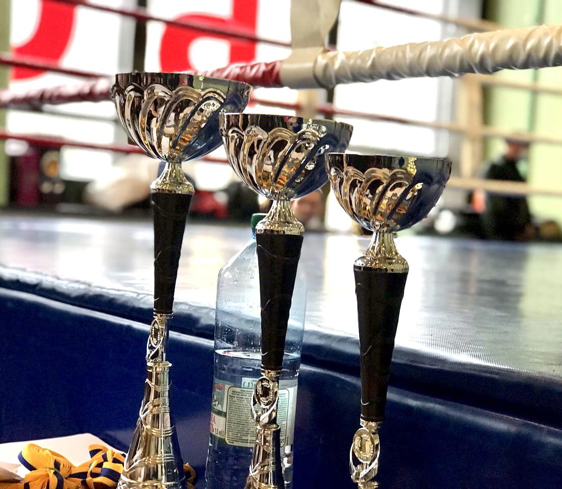 У Дніпрі пройде Кубок міста зі змішаних єдиноборств ММА 1 Кубок міста