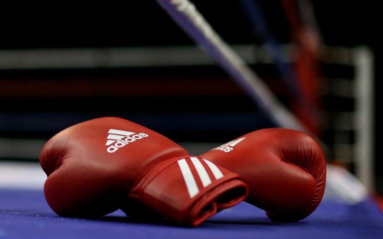 Каменские боксеры завоевали 14 медалей областного чемпионата