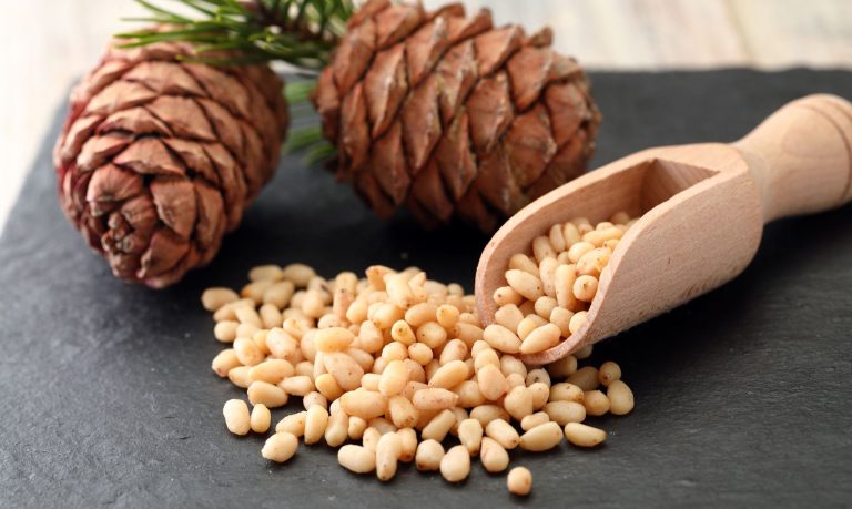 Приостановят старение: невероятные свойства кедровых орешков