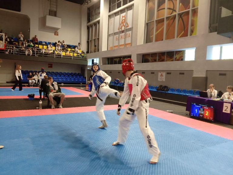 В Каменском прошел Открытый чемпионат области по тхэквондо