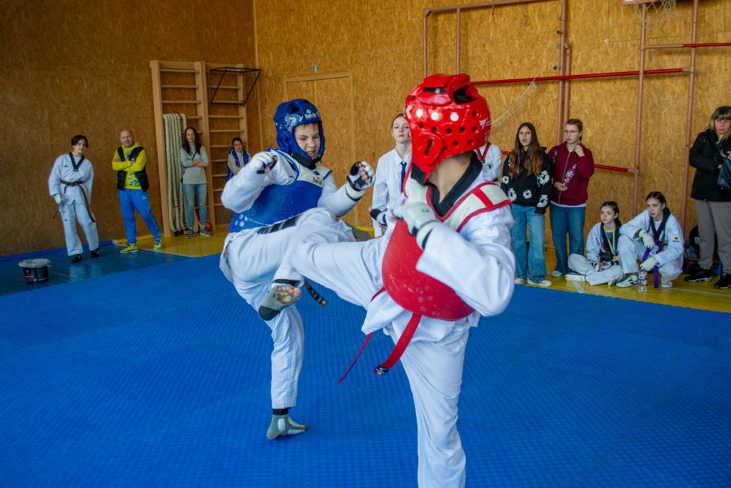 У Кам’янському пройшов відкритий чемпіонат ДЮСШ №3 з тхеквондо