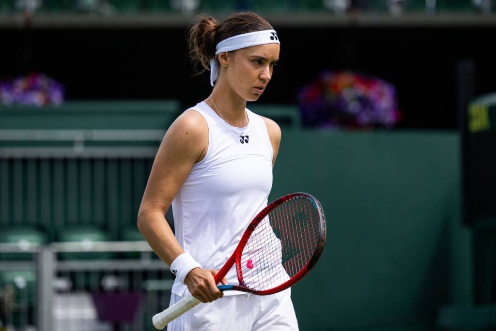 Ангеліна Калініна поступилася у фіналі турніру WTA 125 у Дубровнику