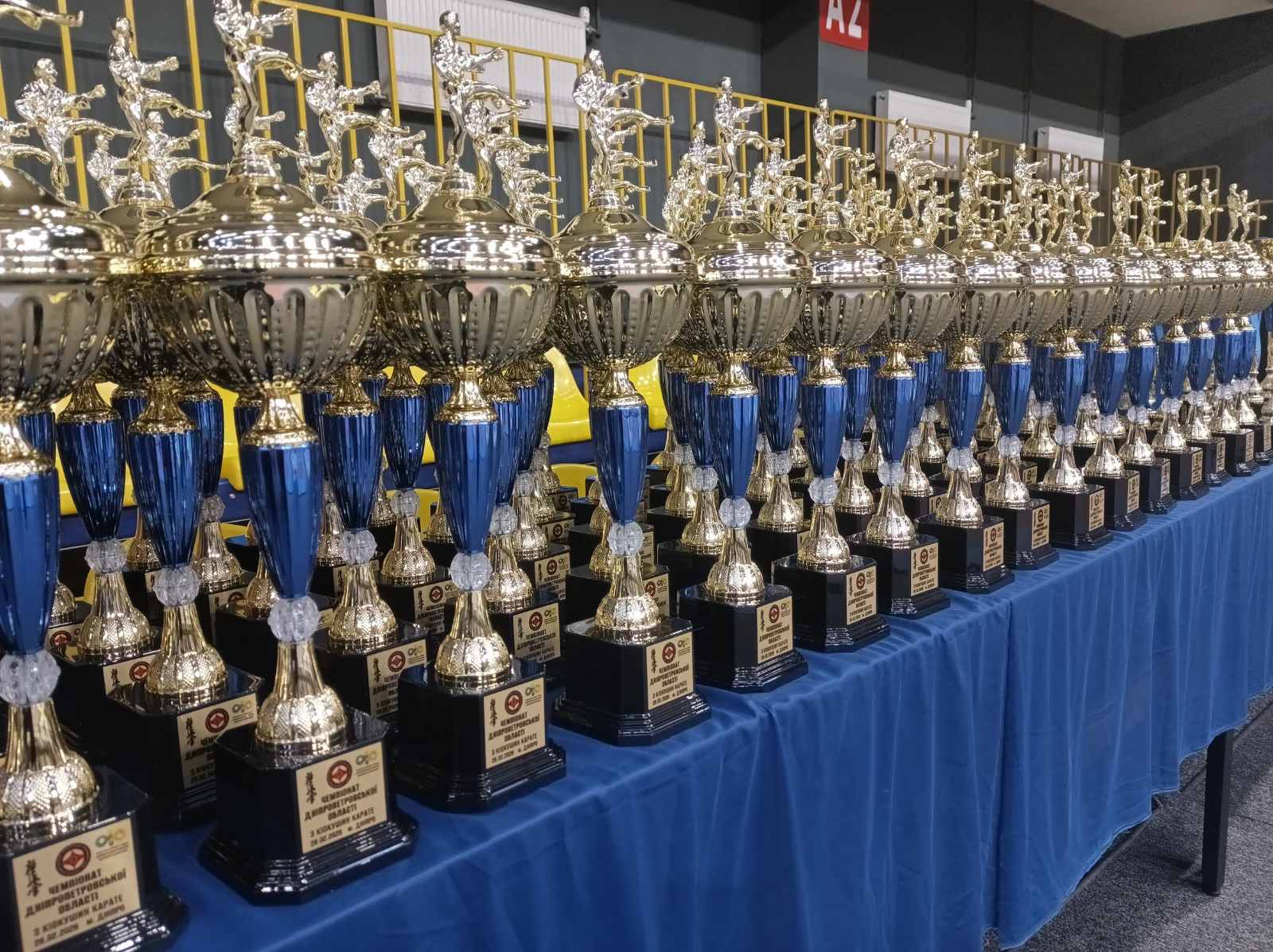 Каратисти Кам’янського вибороли 11 нагород на чемпіонаті області у Дніпрі