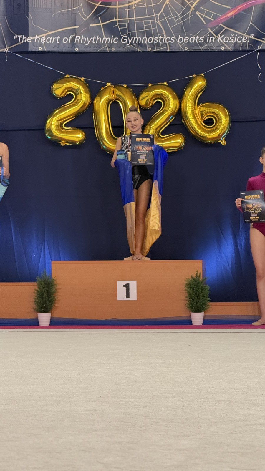 photo 5417918106958500690 w