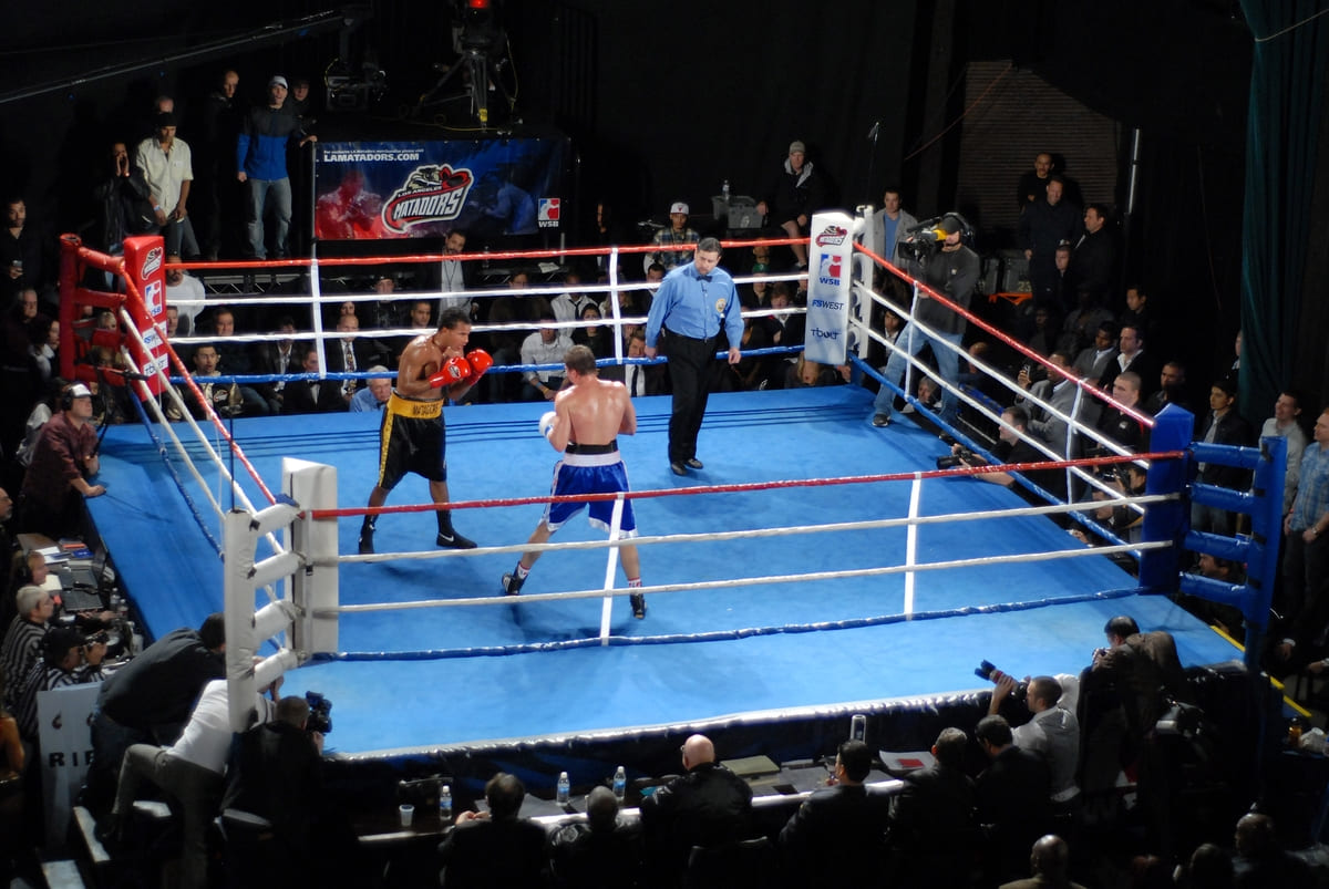 World Boxing зняла всі санкції з російських боксерів
